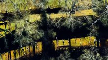 KODAK BLACK ft PNB ROCK " Too Many Years "