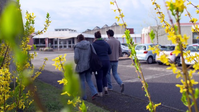 Devenir technicien supérieur du ministère chargé de l’agriculture, spécialité « vétérinaire et alimentaire »