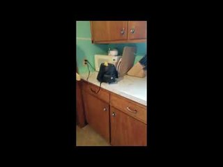 Kid Makes Impressive Shot Into Darth Vader Toaster