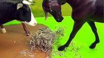 Breyer Horse Video Match Found Dating Part 7 Traditional Sara Moniet Horses Mini Whinnies Series