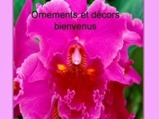 Libertés Groupecocree