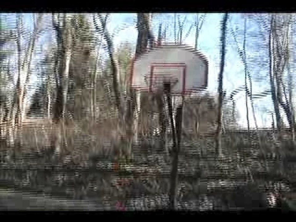 White Men Can't Dunk