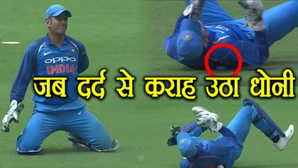 Ind Vs Aus 4th ODI: MS Dhoni cries in pain after getting injured | वनइंडिया हिंदी