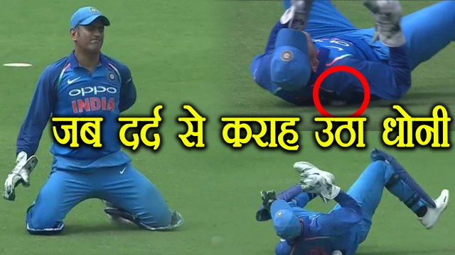 Ind Vs Aus 4th ODI: MS Dhoni cries in pain after getting injured | वनइंडिया हिंदी