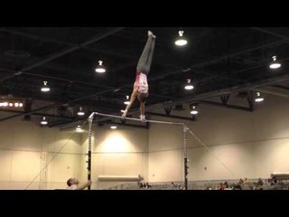 Alex Johnson – High Bar – 2016 Winter Cup Prelims