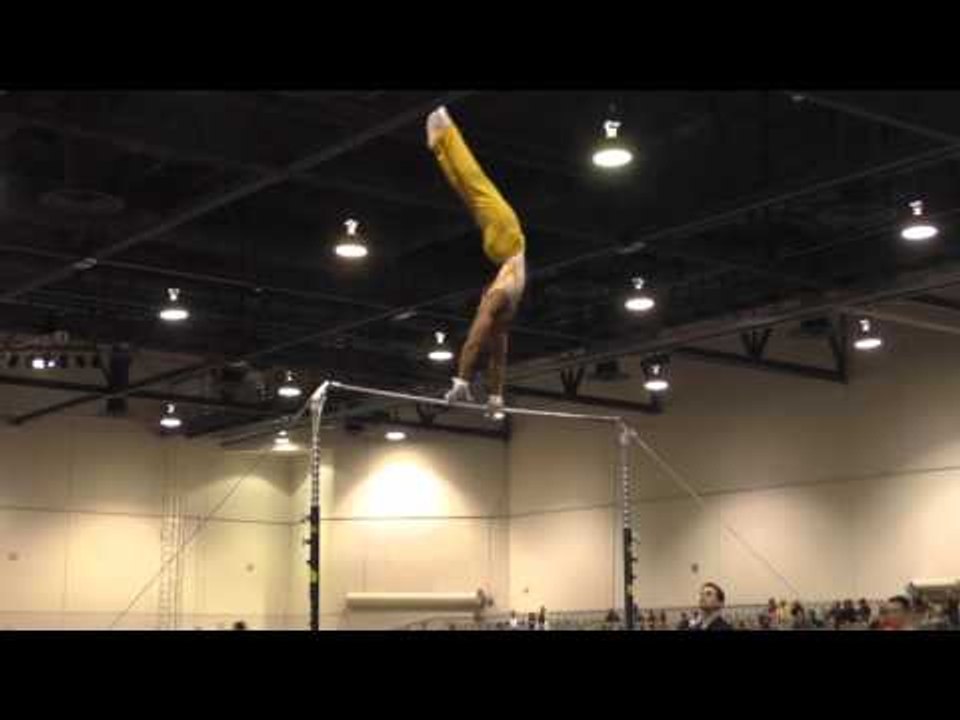 Stacey Ervin – High Bar – 2016 Winter Cup Prelims