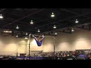 Shane Wiskus – High Bar – 2016 Winter Cup Prelims