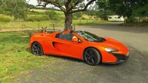 McLaren sports car driver wants compensation from donkey