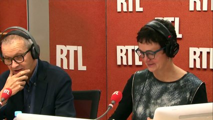 Haut-Rhin : mais qui en veut au cerf Coco ?