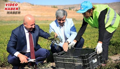 (28 Eylül 2017) ÇOLAKBAYRAKDAR, “KAYSERİ TARIM ŞEHRİ OLARAK ANILACAKSA  BUNUN YOLU KOCASİNAN’DAN GEÇER”