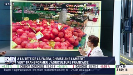 Christiane Lambert, FNSEA - 28/09 (1/2)