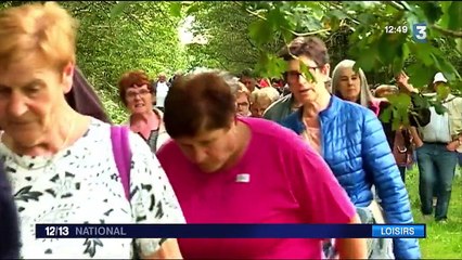 Seniors : de la randonnée en groupe pour garder la forme