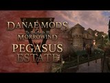 Danae mods Morrowind: Pegasus Estate, display options