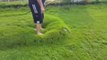 Cet américain trouve une énorme bulle d'eau piégée sous sa pelouse