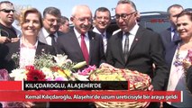 Kılıçdaroğlu, üzüm mitingi için Alaşehir'de