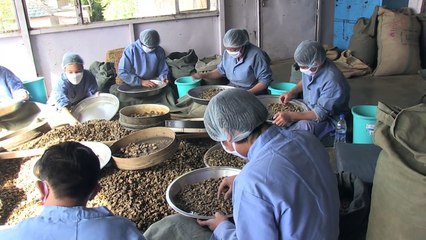 Les Maîtres de l'esprit