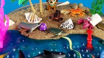 Learn Learning Names of Sea Animals Shark Kids Children Toy DIY Orbeez Slime Kinetic Sand Mini Beach