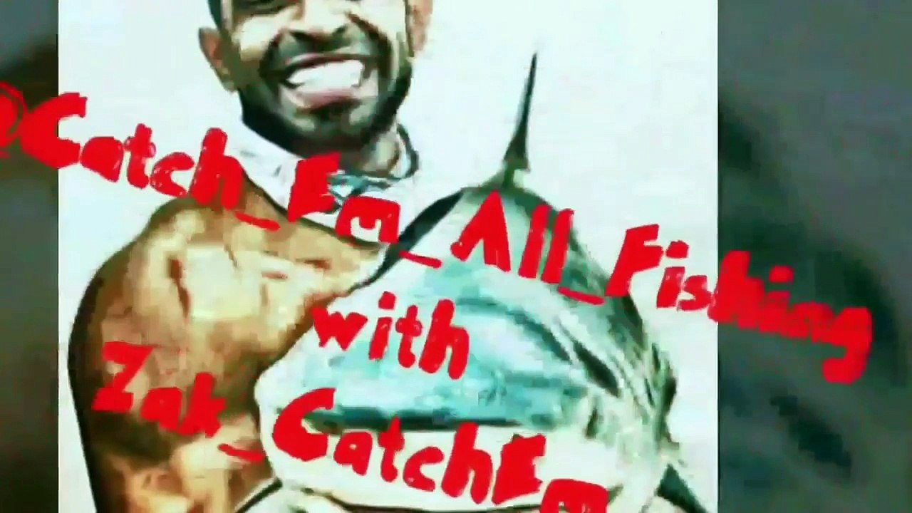 SHARK EATEN!