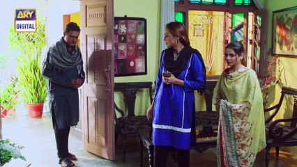 Mein Mehru Hoon Last Episode - 28th September 2017