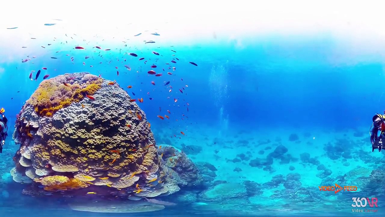 Awesome PEOPLE Caught ON 360 CAM -  Best Epic Video 2017!! Must Watch