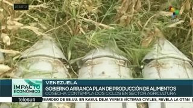 Gobierno venezolano inicia planes de siembra y cosecha