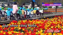 [Karaoke] Tâm Sự Đời Tôi -  Dương Hồng Loan Beat Chuẩn