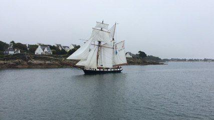 L'Armada de l'espoir à Concarneau