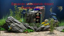 Baixar e instalar dream aquarium full registrado gratis!