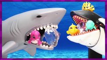 SPLASHLINGS Blind Bags opening by SHARK & ORCA Toys: Ocean Friends, Animals   Creatures