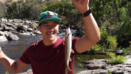 Catch and Cook and Camp Ep. 4 *WILD Trout, WILD Bass, WILD Crayfish*