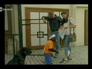 Il nostro amico Charly 11x10 - Un compagno per Tiffany