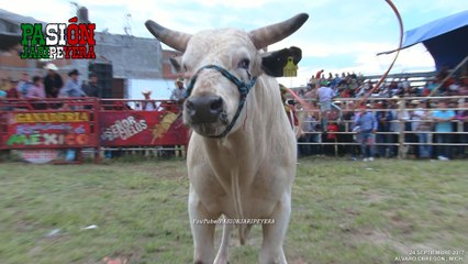 JARIPEO CON CAUSA... LA NUEVA TORADA DE RANCHO BARRIGA EN ALVARO OBREGON 2017