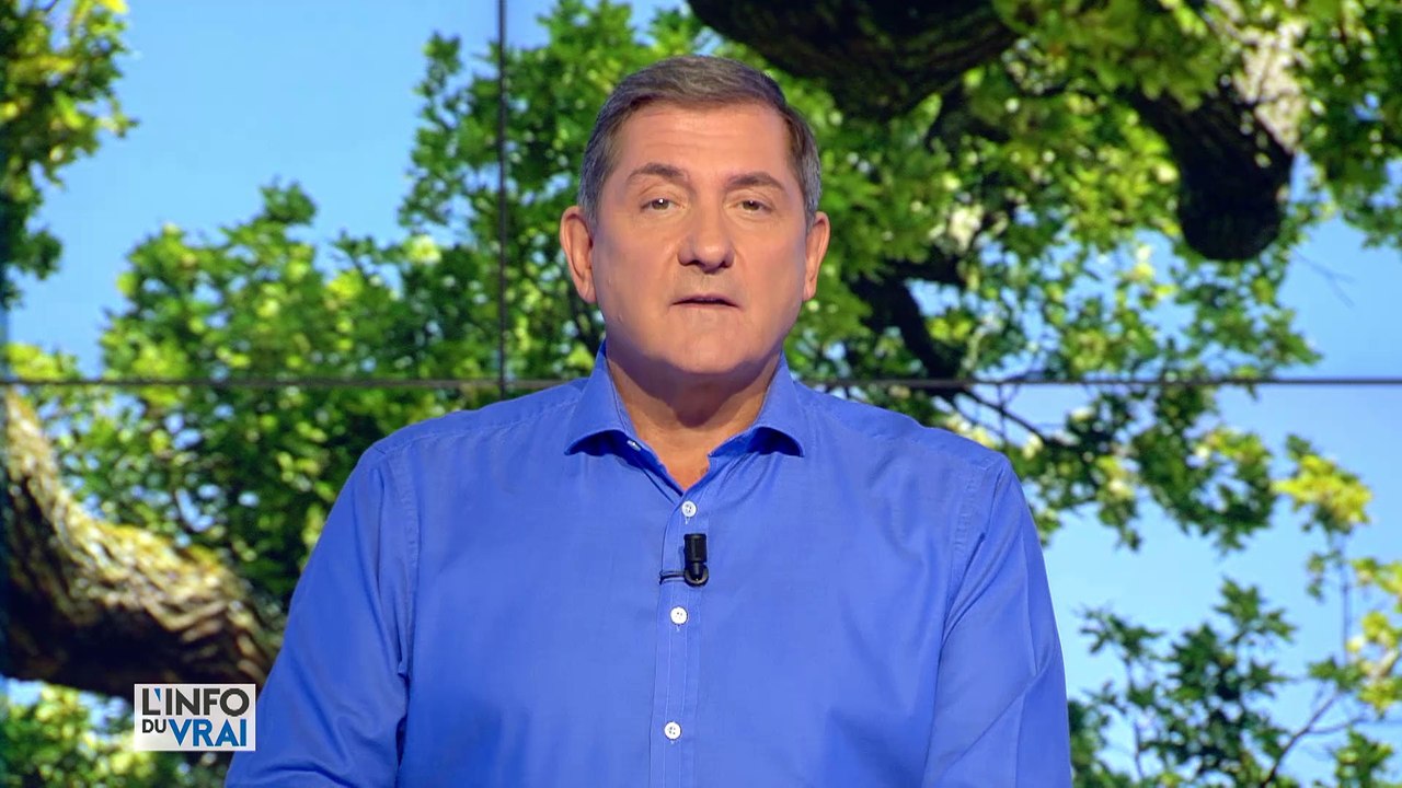 L'info du vrai - L'info du  du 28/09 - L'info du vrai : l'info - CANAL+