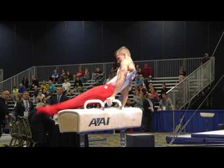 Christopher Stephenson - Pommel Horse - 2017 Winter Cup Prelims