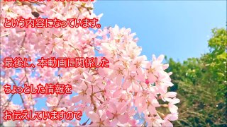 小保方晴子の現在と「STAP細胞あります時代」の姿が違いすぎてビックリ！整形?ってくらいヤバイ！