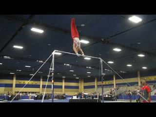 Sean Melton - High Bar - 2017 Winter Cup Prelims
