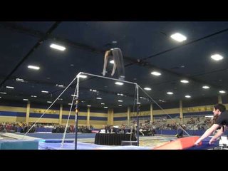 Nicholas Merryman - High Bar - 2017 Winter Cup Prelims