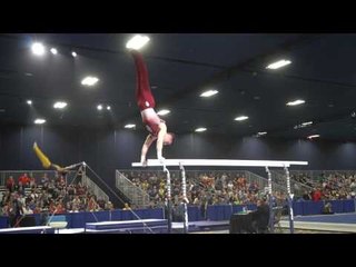 Levi Anderson - Parallel Bars - 2017 Winter Cup Prelims