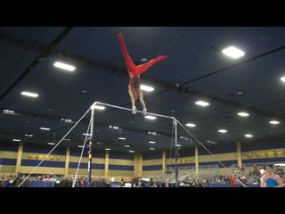 Vitaly Guimaraes - High Bar - 2017 Winter Cup Prelims