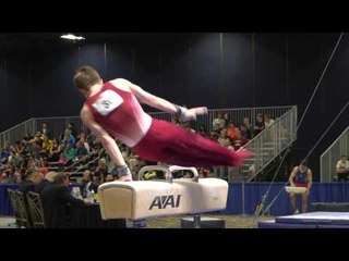 Allan Bower - Pommel Horse - 2017 Winter Cup Prelims