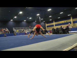 David Willett - Floor Exercise - 2017 Winter Cup Prelims