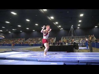 Steven Legendre - Vault - 2017 Winter Cup Prelims