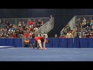 Vitaliy Guimaraes - Floor Exercise - 2017 Winter Cup Prelims
