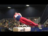 Alexander Naddour - Pommel Horse - 2017 Winter Cup Prelims