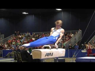 Shane Wiskus - Pommel Horse - 2017 Winter Cup Finals
