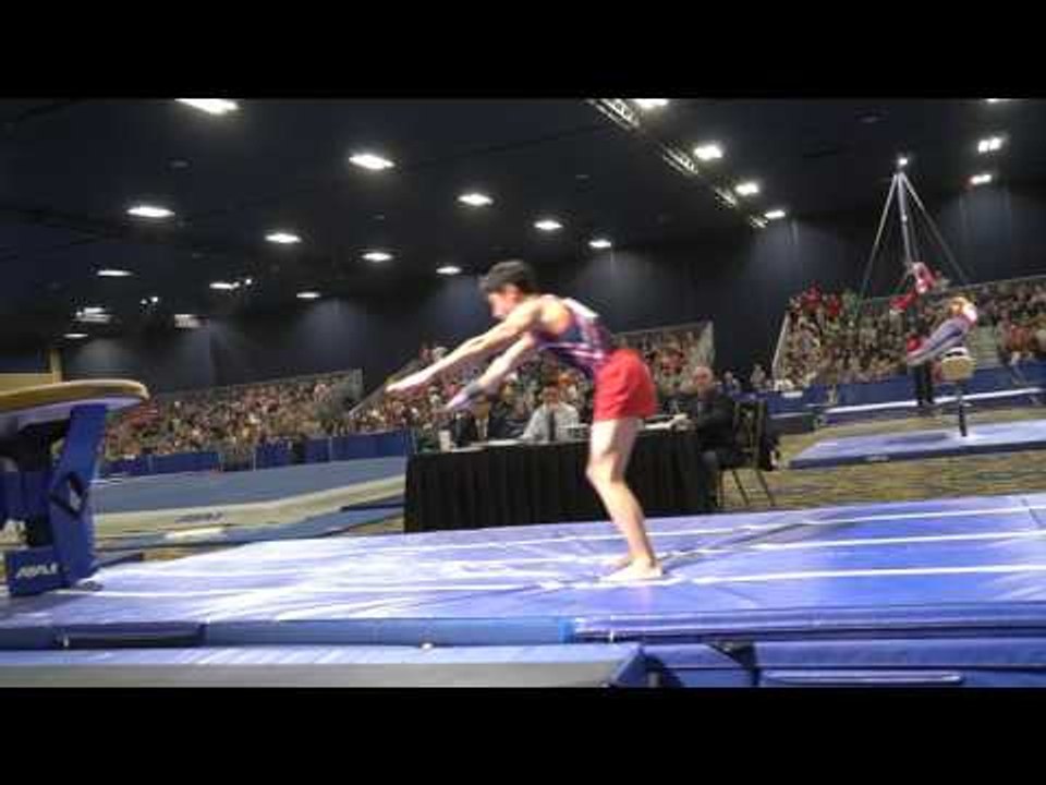 Brandon Briones - Vault - 2017 Winter Cup Finals