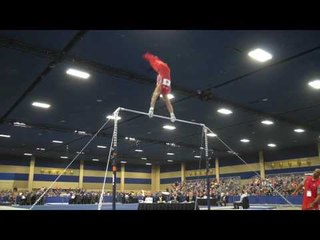 Sean Melton - High Bar - 2017 Winter Cup Finals