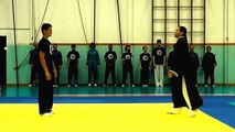 Taiji Quan Chen Style Techniques