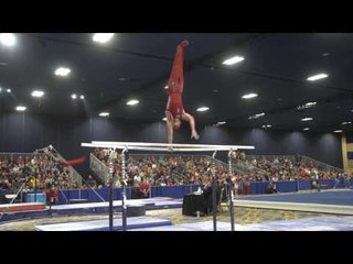 Robert Neff - Parallel Bars - 2017 Winter Cup Finals