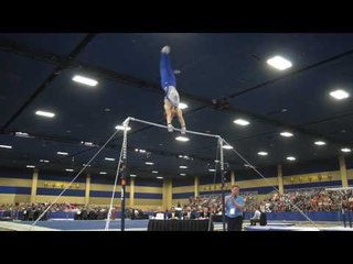 Shane Wiskus - High Bar - 2017 Winter Cup Finals